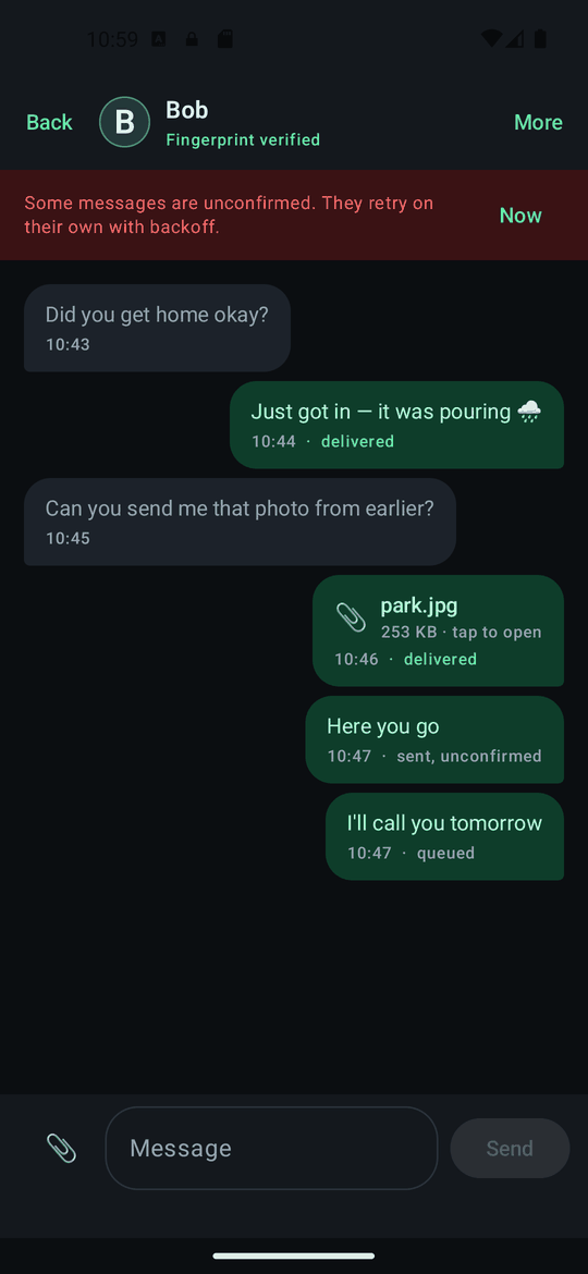 The chat afterwards: the header reads Fingerprint verified, with no reminder.