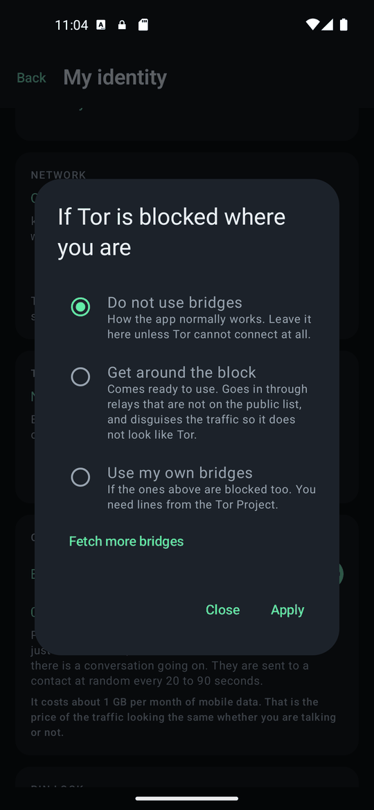 The bridges dialog: do not use bridges, get around the block, use my own.