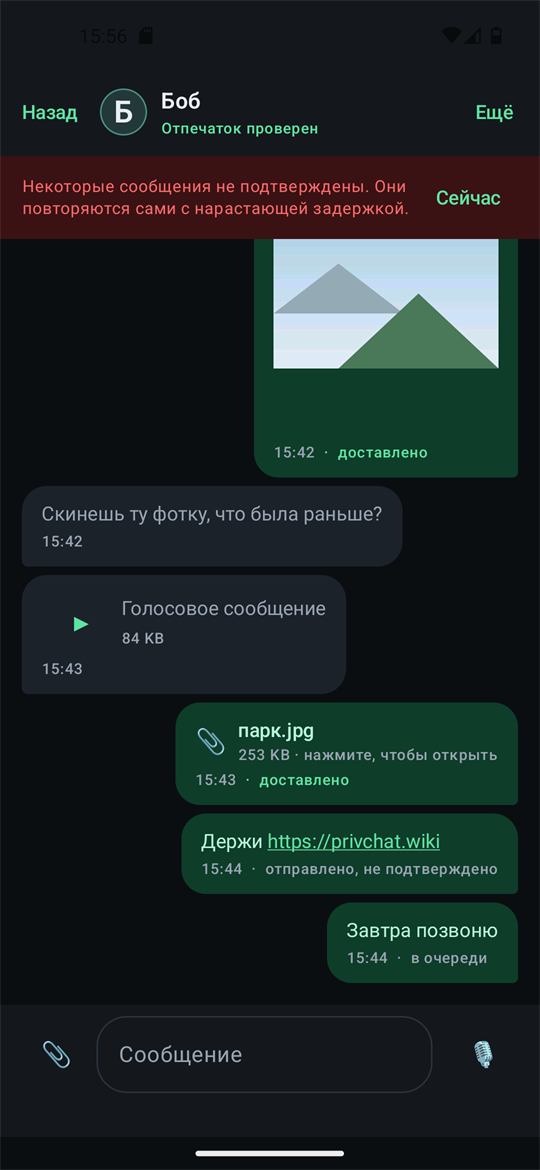 Разговор, под каждым сообщением показано его состояние.